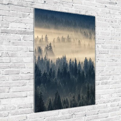 Print on acrylic Fog over the forest