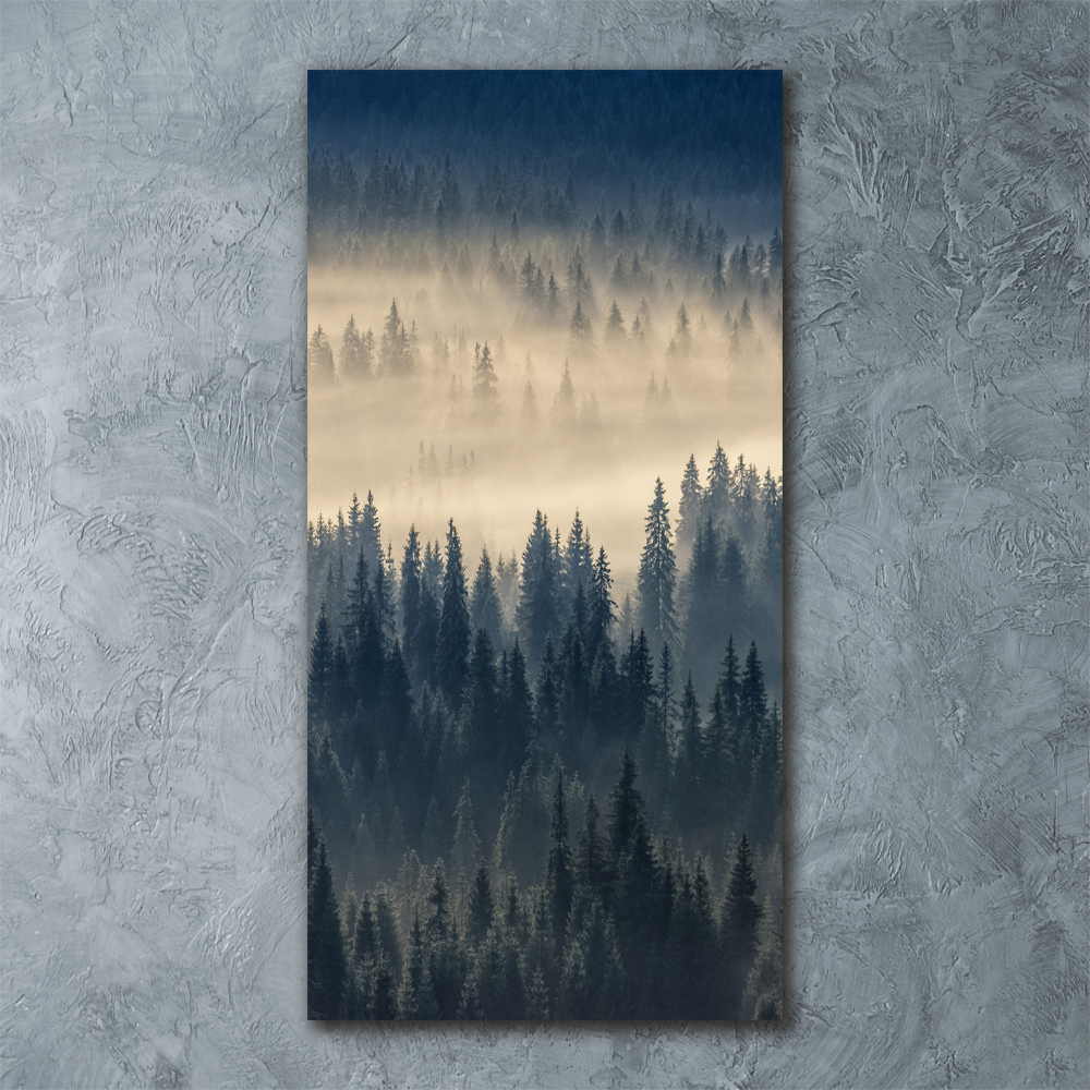 Print on acrylic Fog over the forest