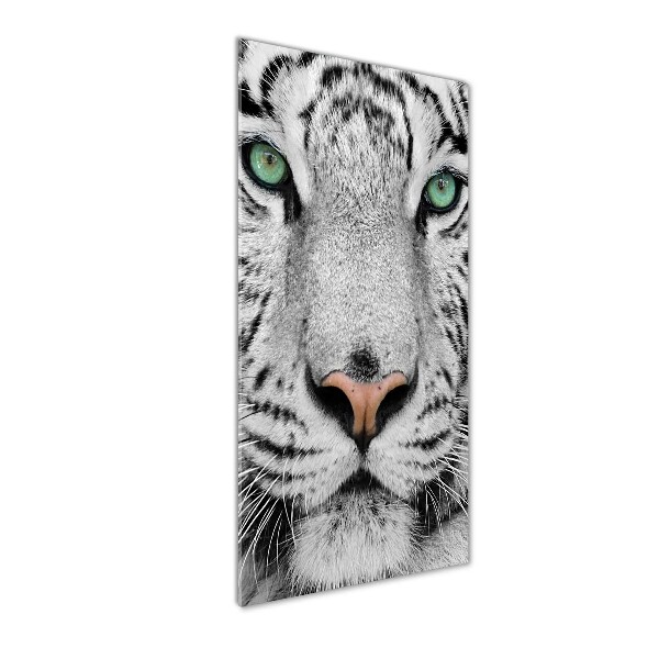 Print on acrylic White Tiger