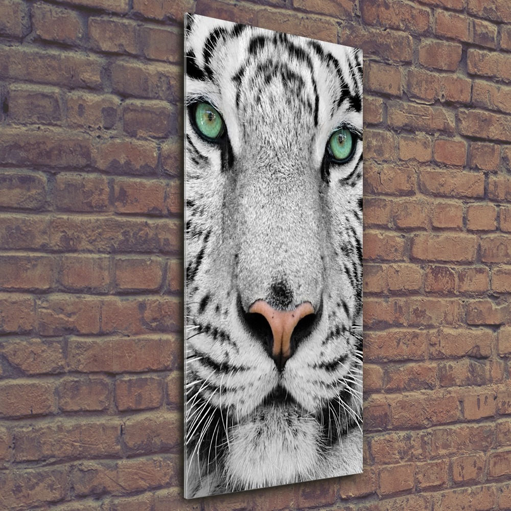 Print on acrylic White Tiger