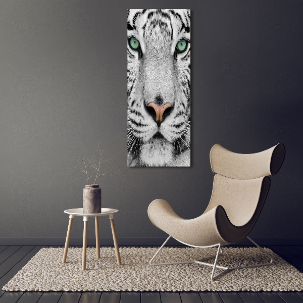 Print on acrylic White Tiger