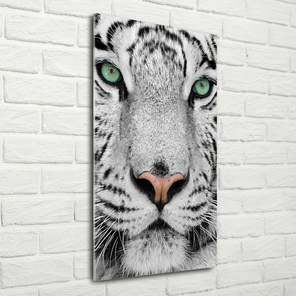 Print on acrylic White Tiger