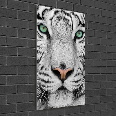 Print on acrylic White Tiger