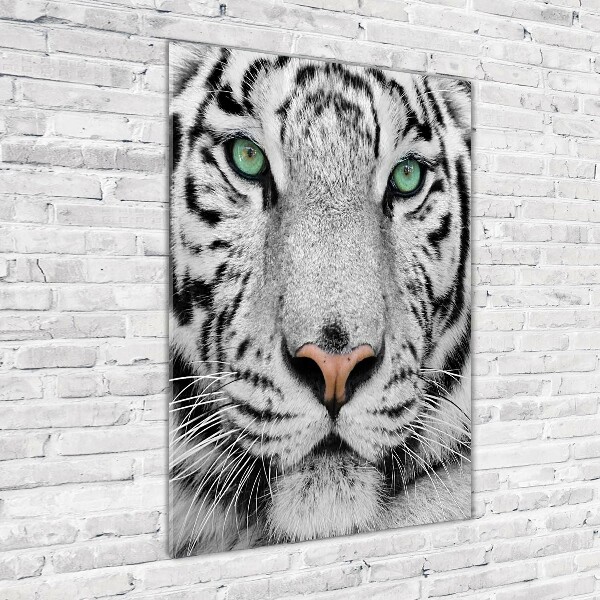 Print on acrylic White Tiger