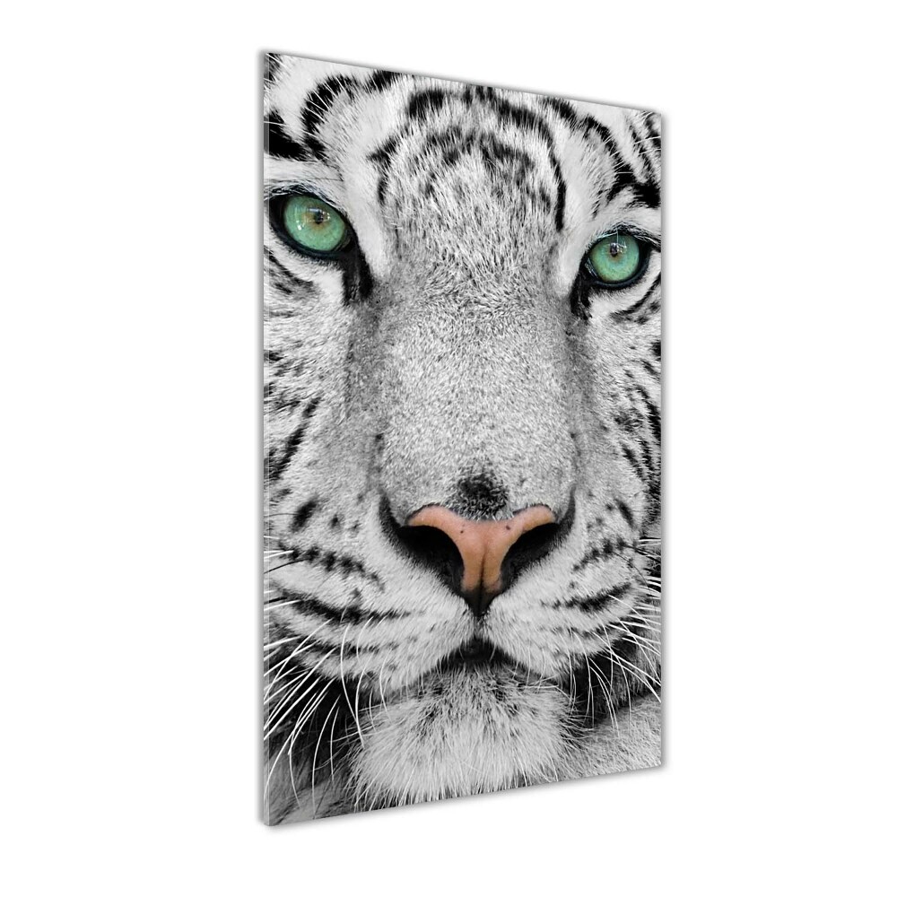 Print on acrylic White Tiger