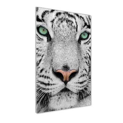 Print on acrylic White Tiger