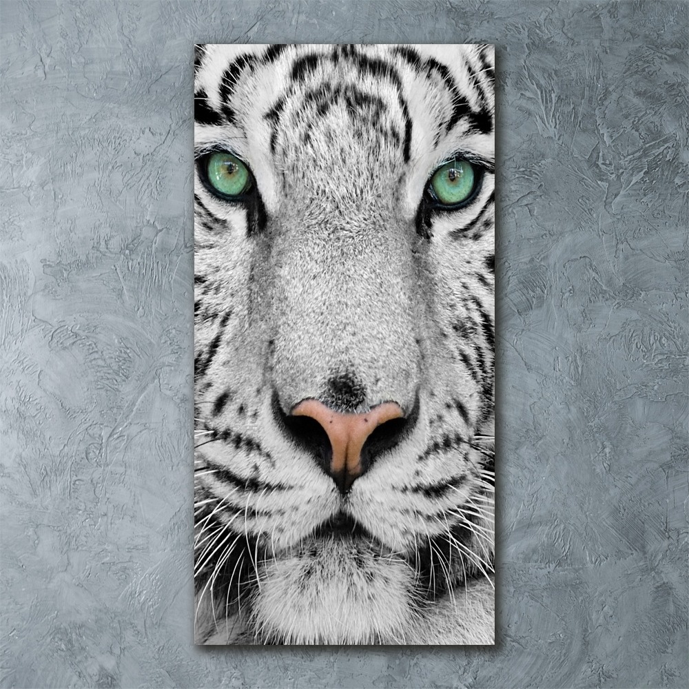 Print on acrylic White Tiger