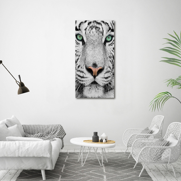 Print on acrylic White Tiger