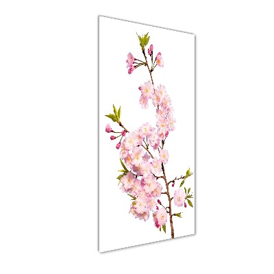 Print on acrylic Cherry blossoms