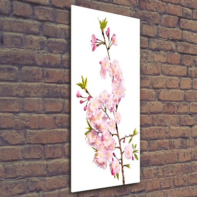 Print on acrylic Cherry blossoms