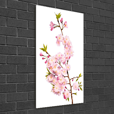 Print on acrylic Cherry blossoms