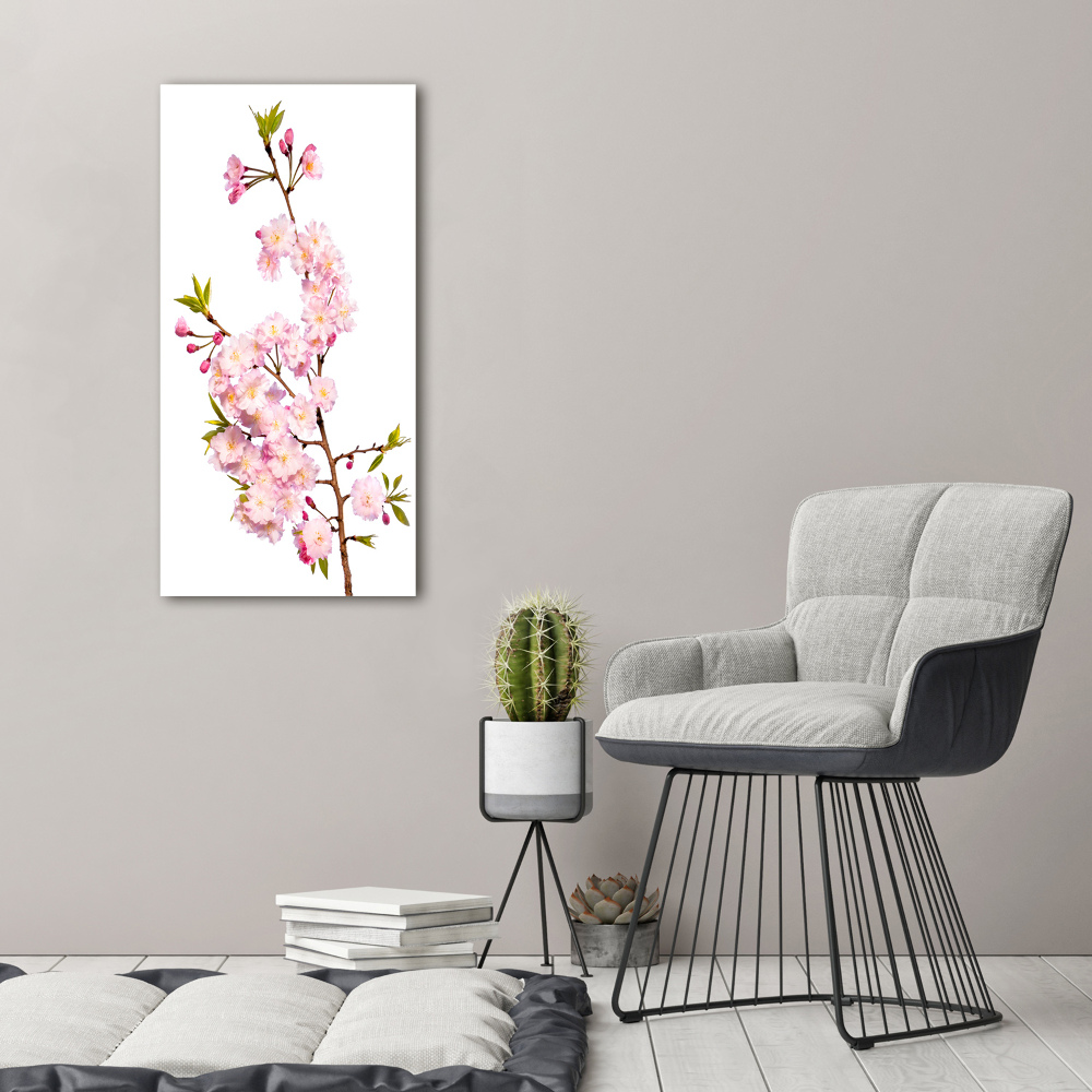 Print on acrylic Cherry blossoms