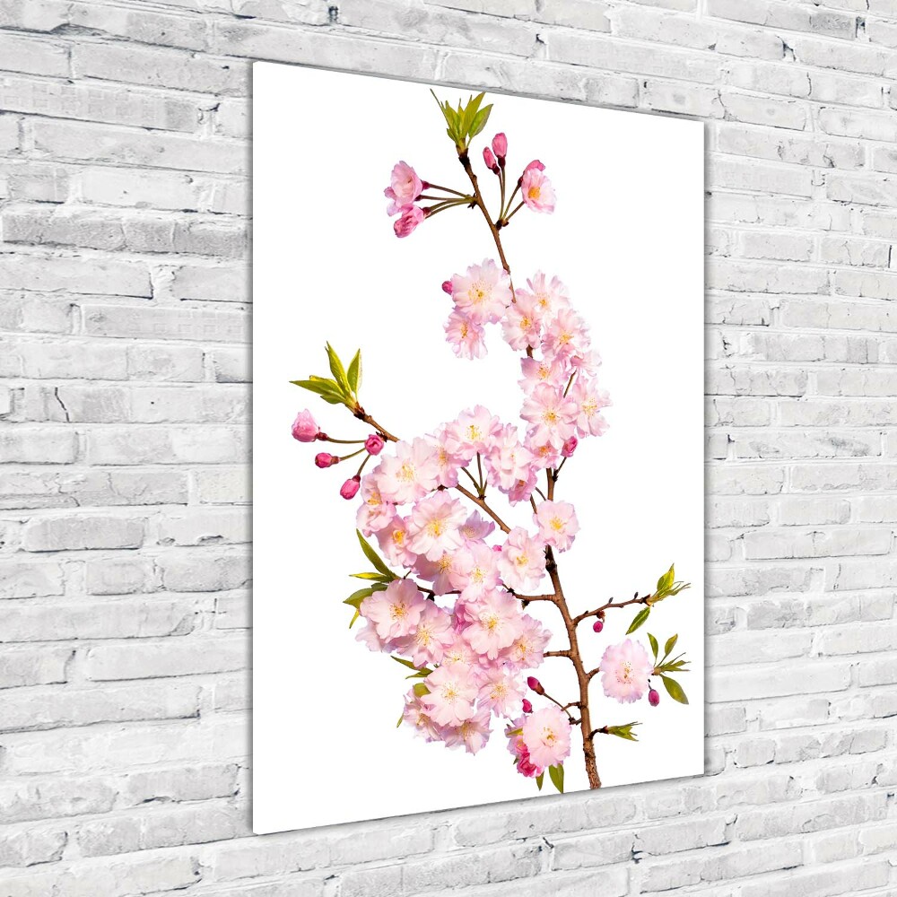 Print on acrylic Cherry blossoms