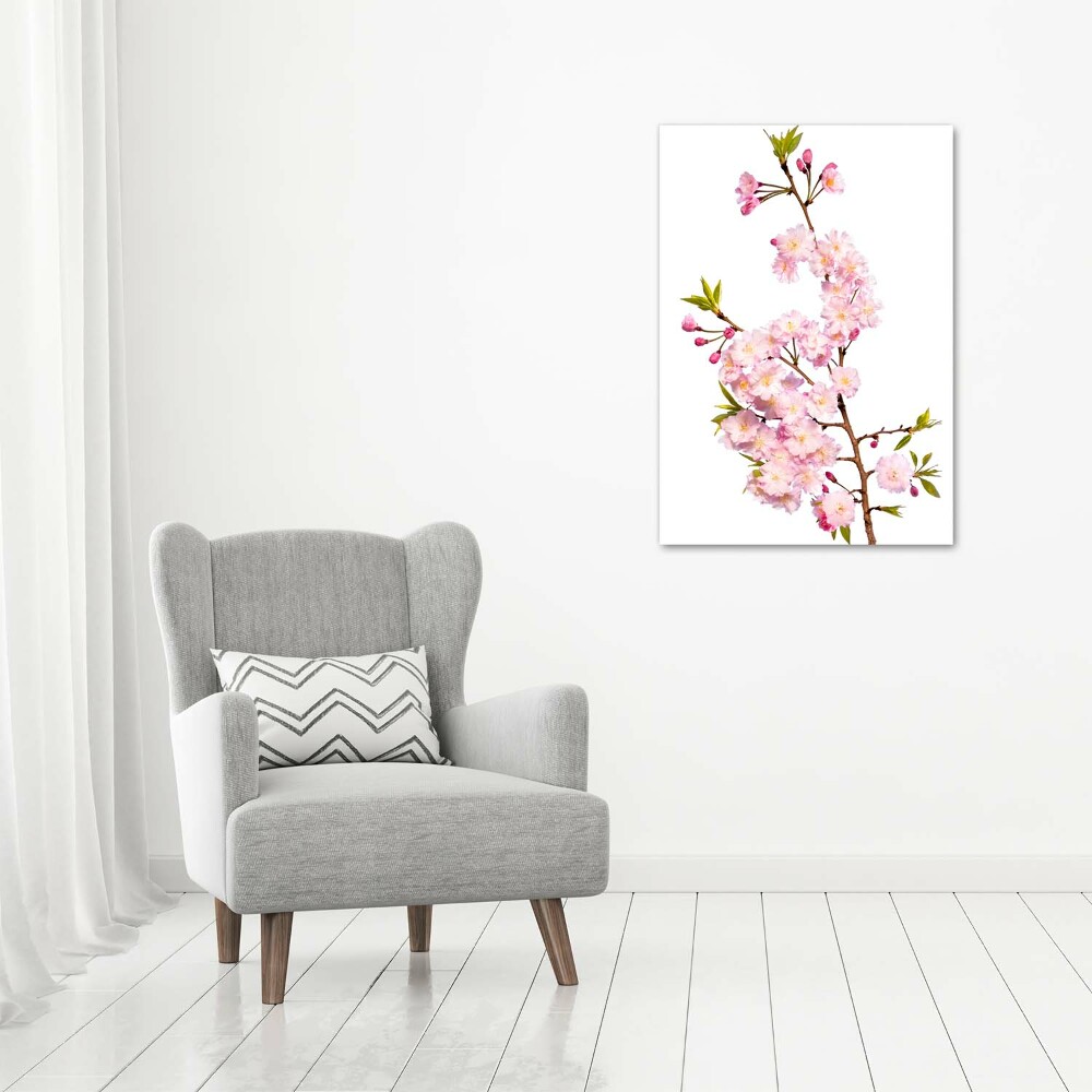 Print on acrylic Cherry blossoms