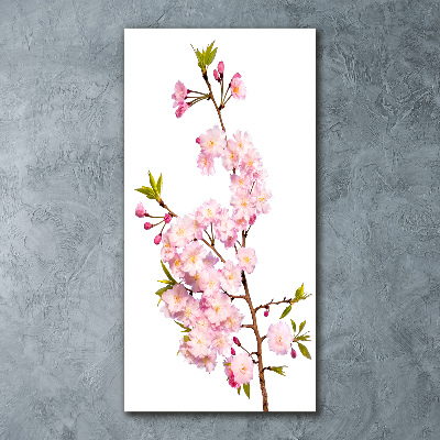 Print on acrylic Cherry blossoms