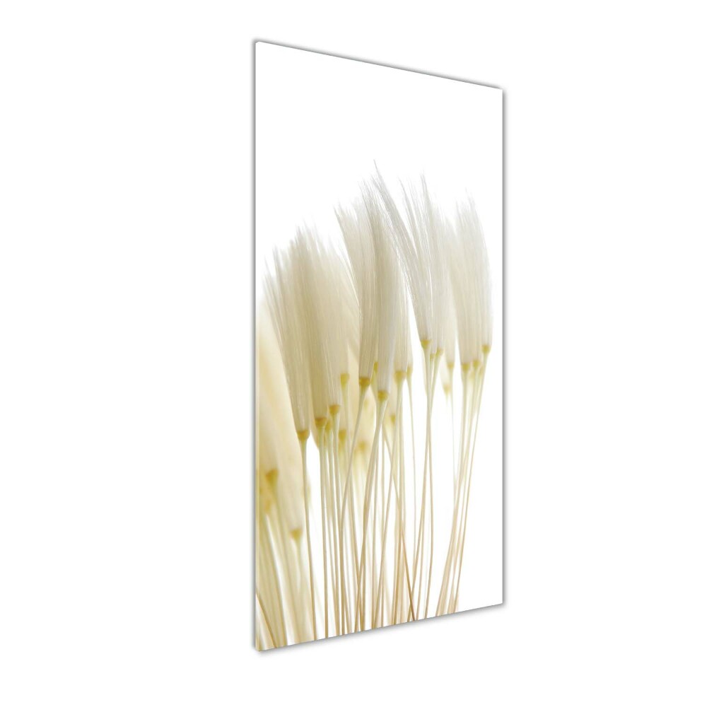 Wall art acrylic Dandelion seeds