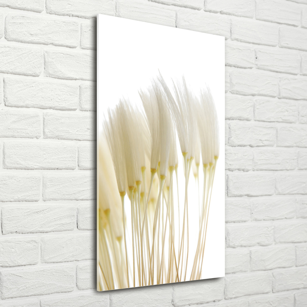 Wall art acrylic Dandelion seeds