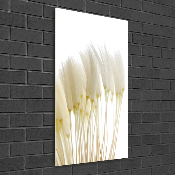 Wall art acrylic Dandelion seeds