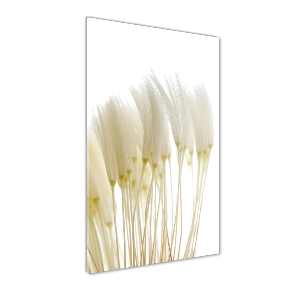 Wall art acrylic Dandelion seeds