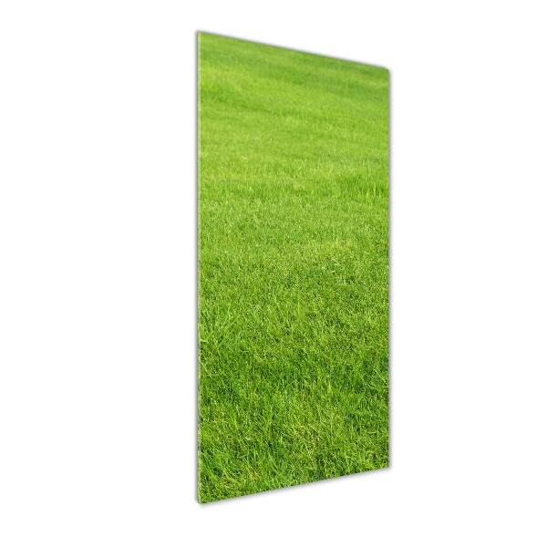 Print on acrylic green grass