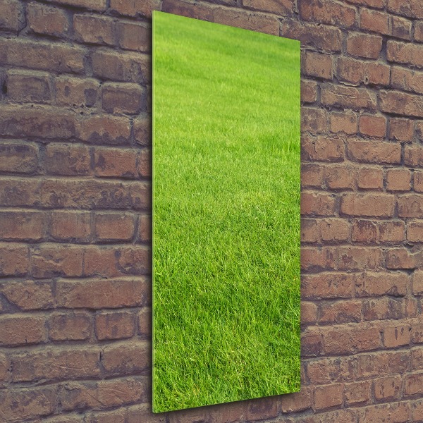 Print on acrylic green grass