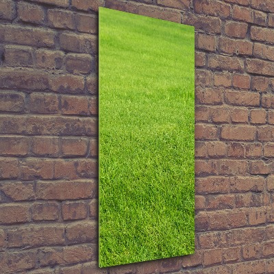 Print on acrylic green grass