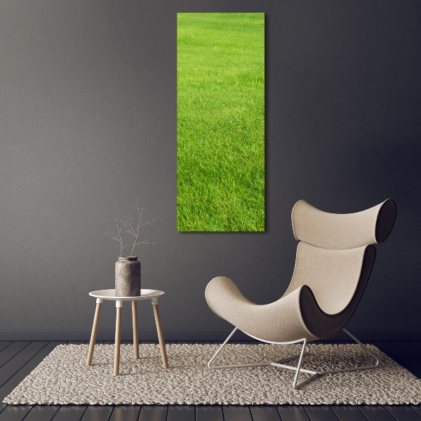 Print on acrylic green grass