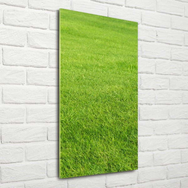 Print on acrylic green grass