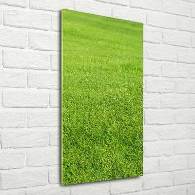 Print on acrylic green grass