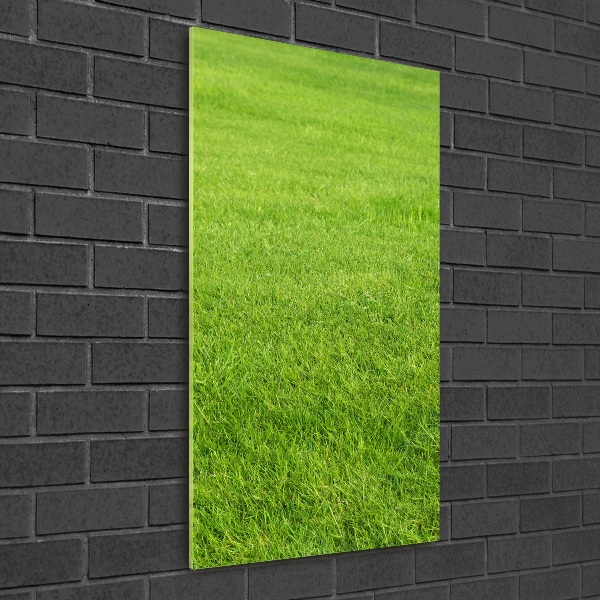 Print on acrylic green grass