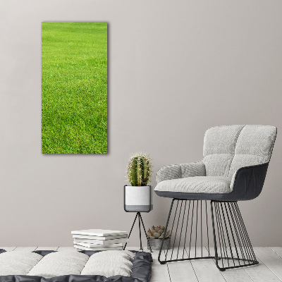 Print on acrylic green grass