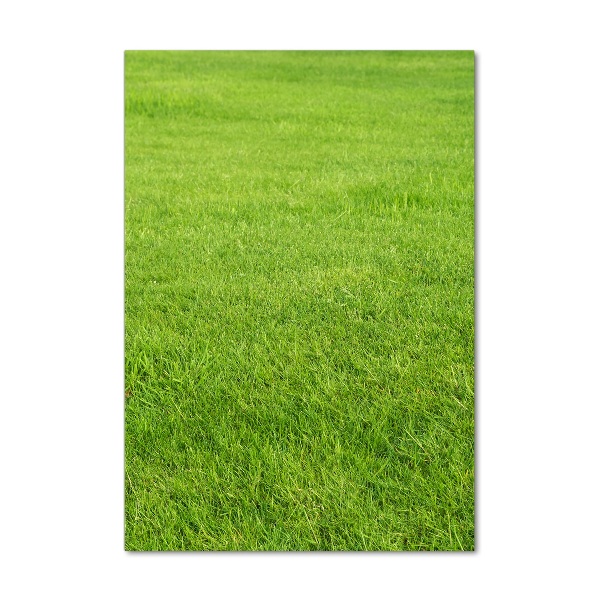 Print on acrylic green grass