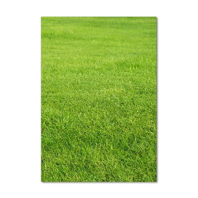 Print on acrylic green grass