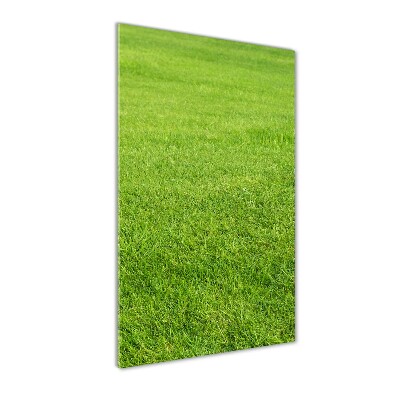 Print on acrylic green grass