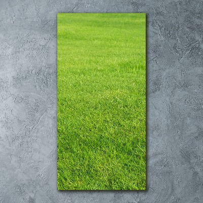 Print on acrylic green grass