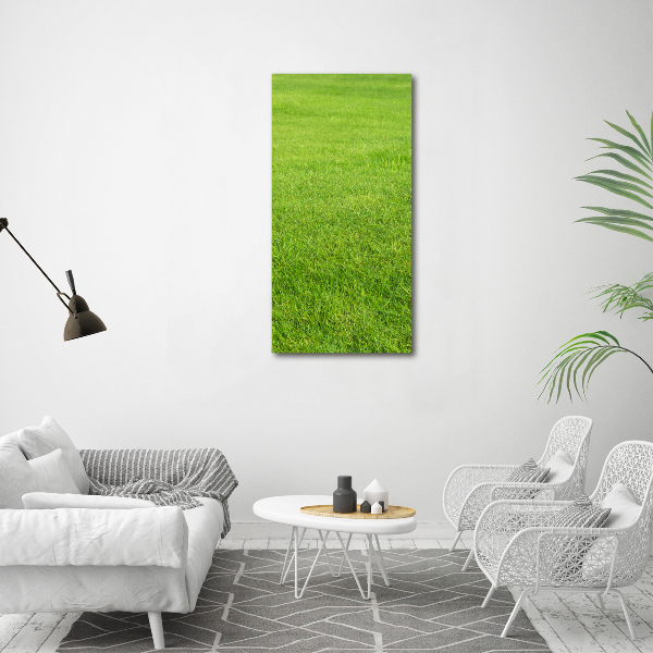 Print on acrylic green grass