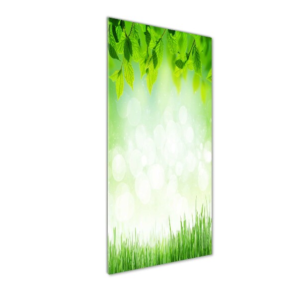 Acrylic wall art Leaves and grass