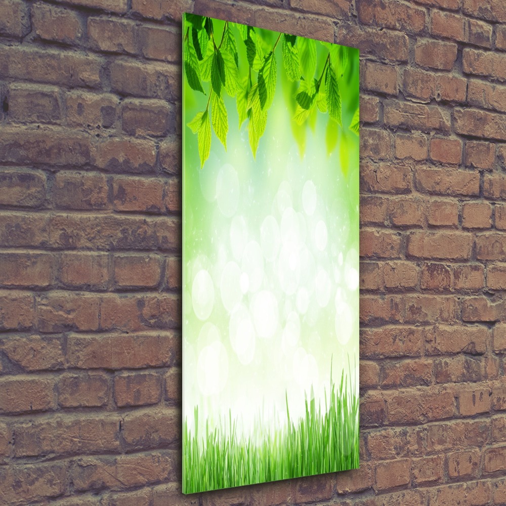 Acrylic wall art Leaves and grass