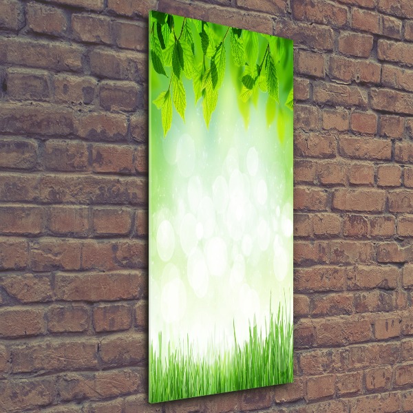 Acrylic wall art Leaves and grass