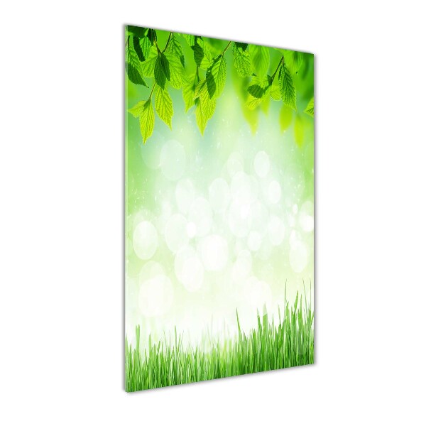 Acrylic wall art Leaves and grass