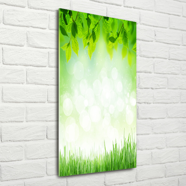 Acrylic wall art Leaves and grass