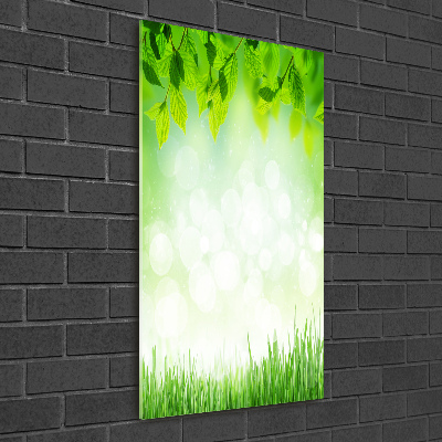 Acrylic wall art Leaves and grass