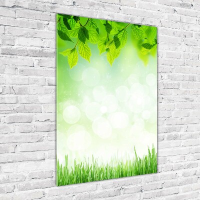 Acrylic wall art Leaves and grass