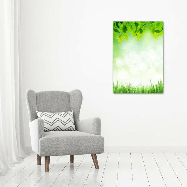 Acrylic wall art Leaves and grass