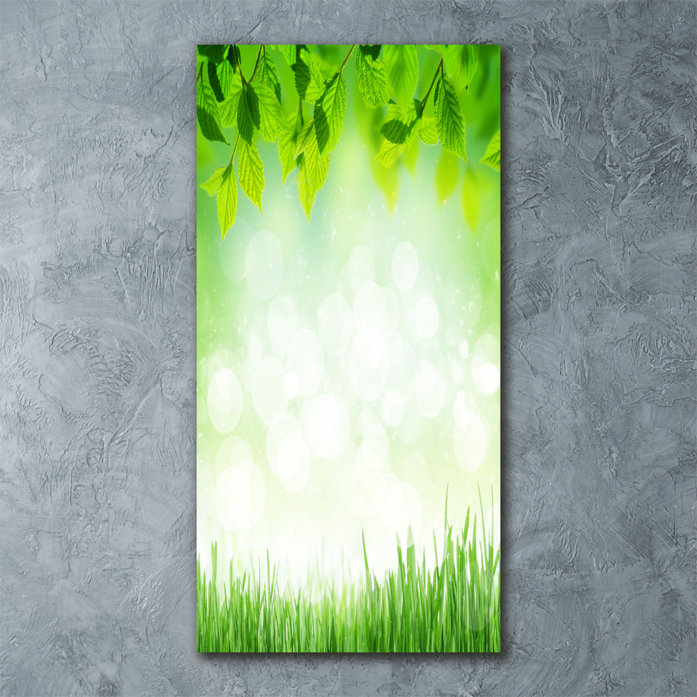 Acrylic wall art Leaves and grass