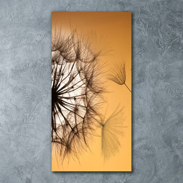 Acrylic wall art Dandelion