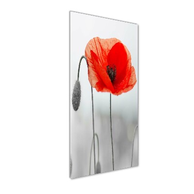 Wall art acrylic Field poppies