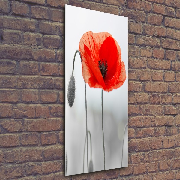 Wall art acrylic Field poppies