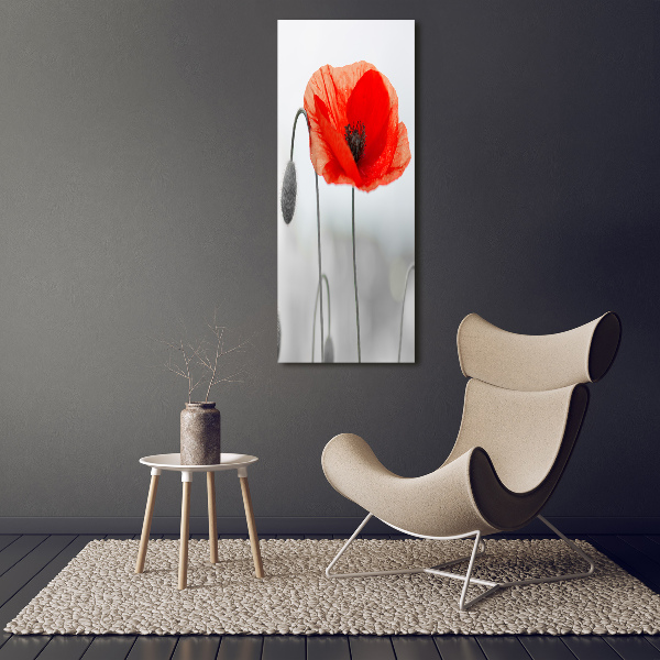 Wall art acrylic Field poppies