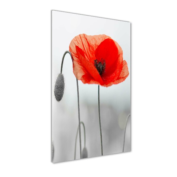 Wall art acrylic Field poppies